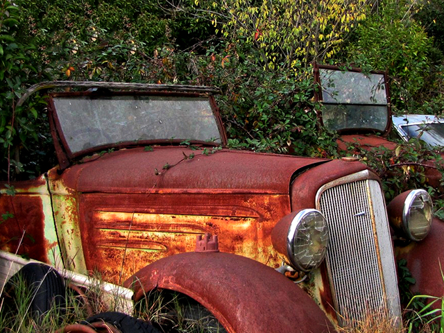 At The Drive InnPhotography by Judy Hofmeyer